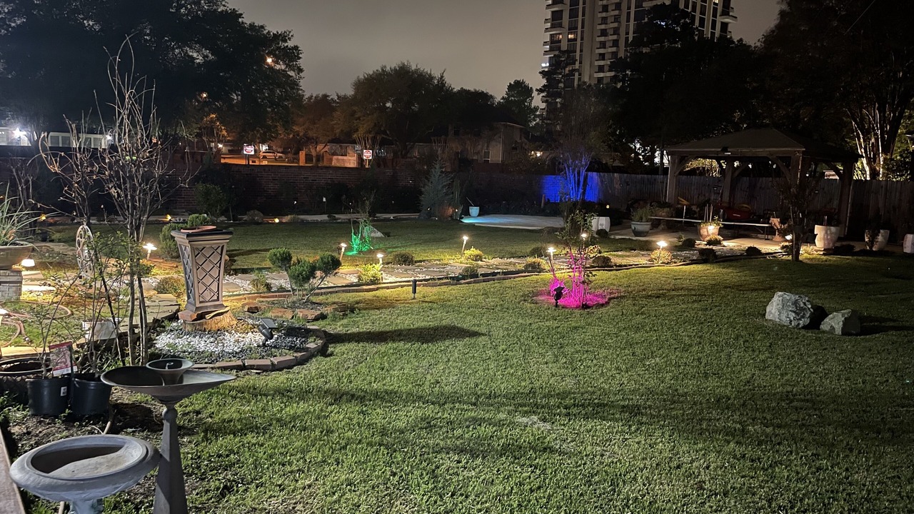 Photo of Outdoor in Champion Forest