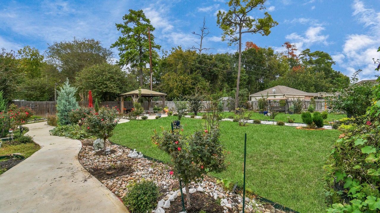 Photo of Outdoor in Champion Forest