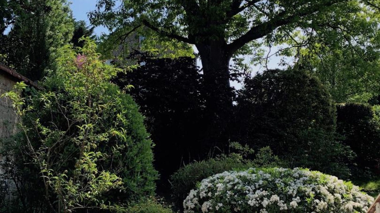 Photo of Outdoor in Ducey