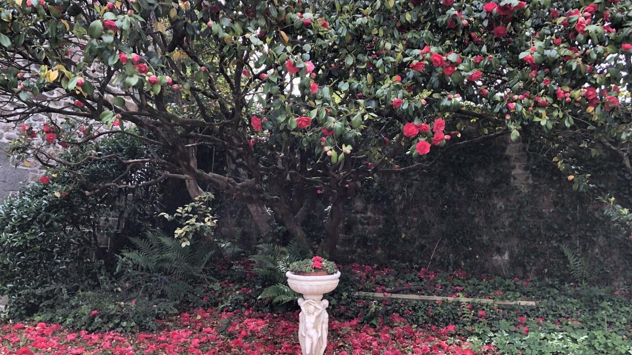 Photo of Outdoor in Ducey