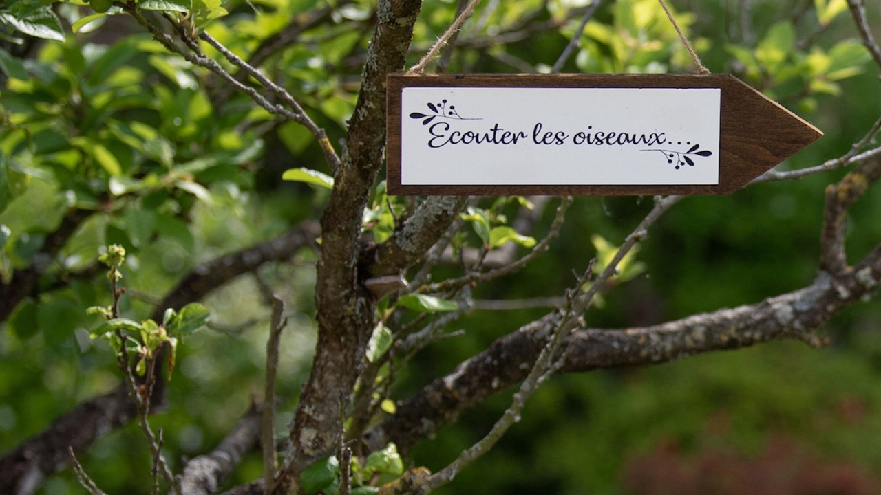 Photo of Outdoor in Ducey