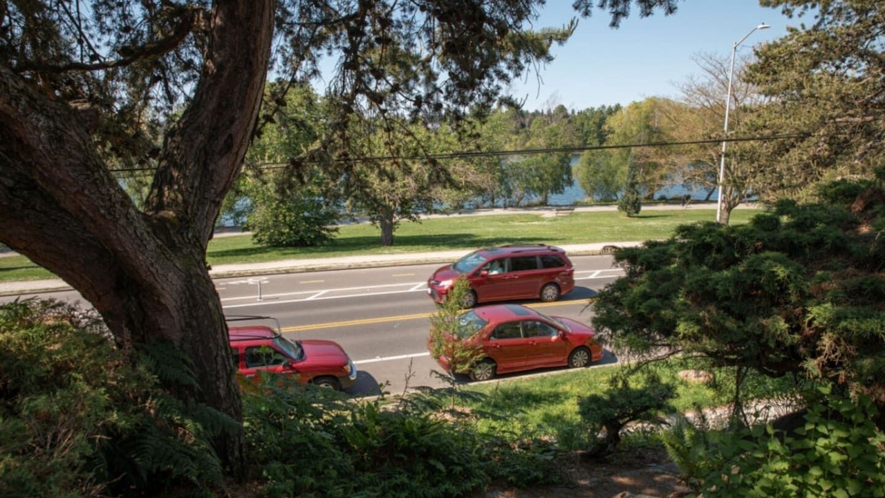 Photo of Outdoor in Green Lake