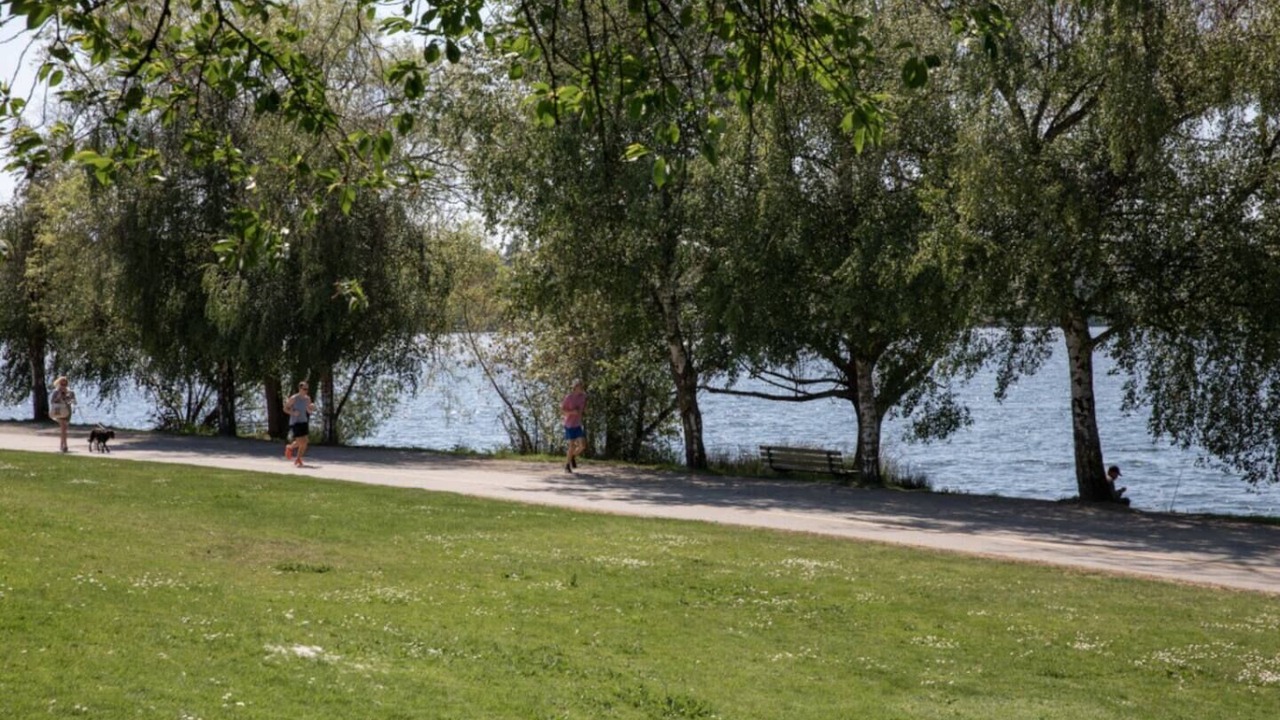 Photo of Others in Green Lake
