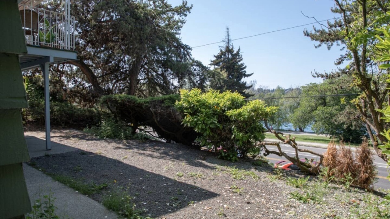 Photo of Outdoor in Green Lake
