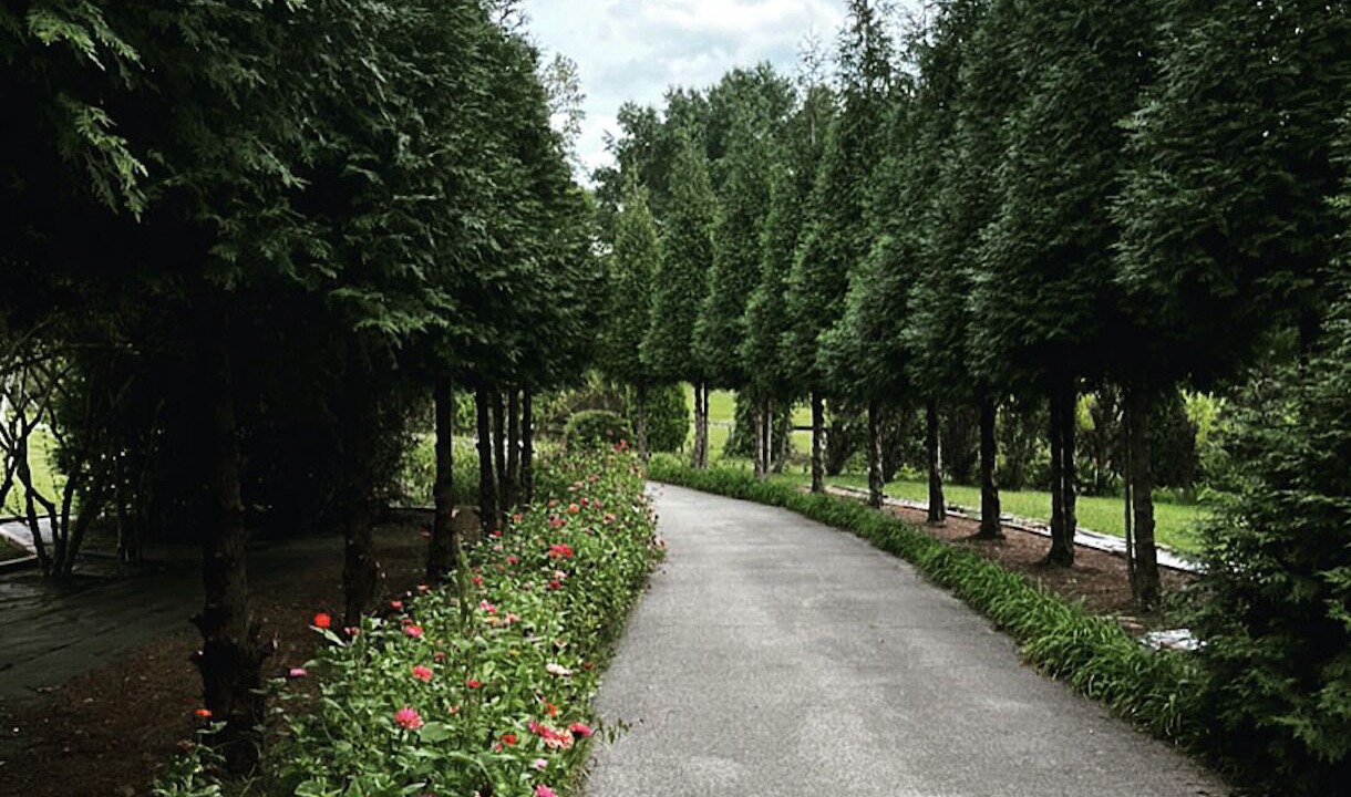Photo of Outdoor in Ashland City