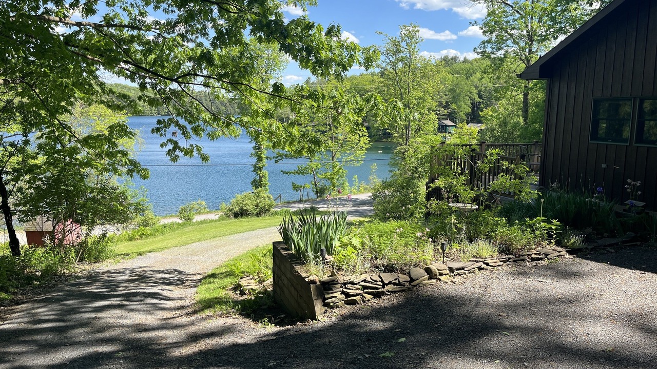 Photo of Others in Milford