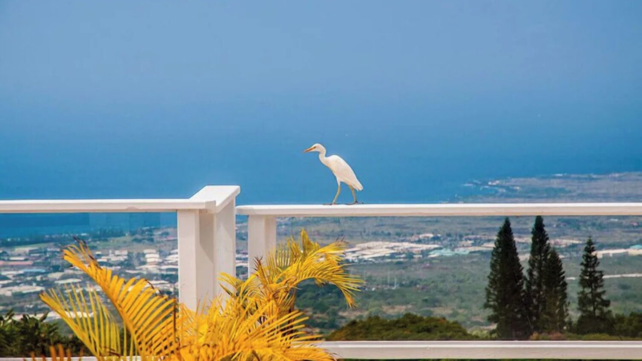 Photo of Others in Holualoa