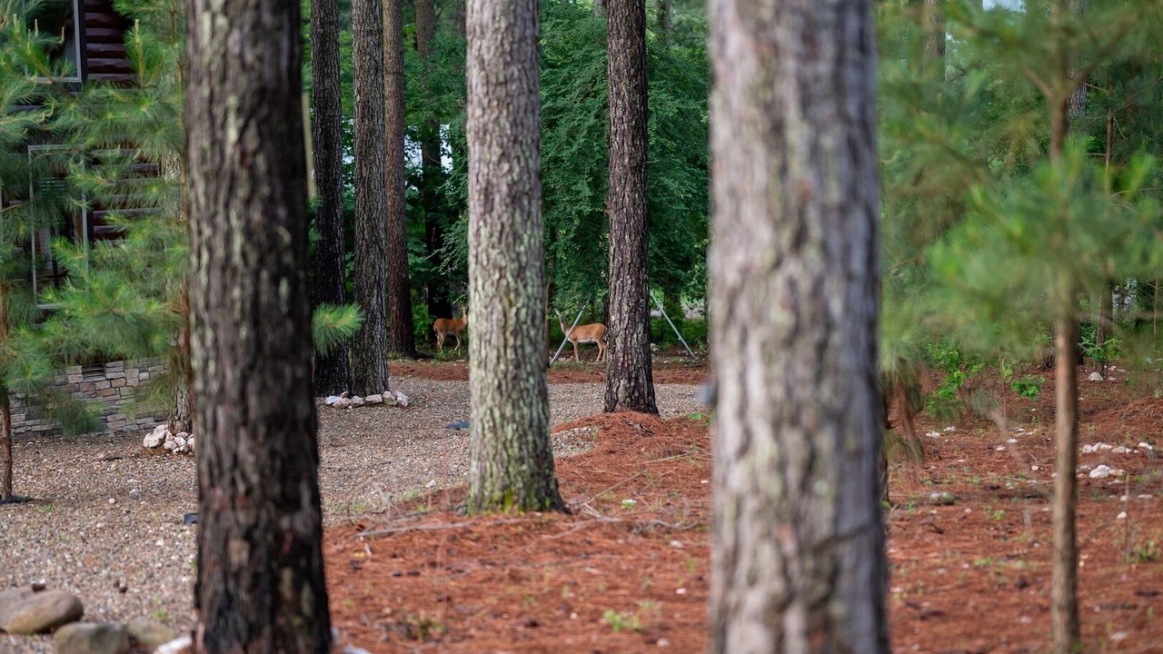 Photo of Outdoor in Hochatown