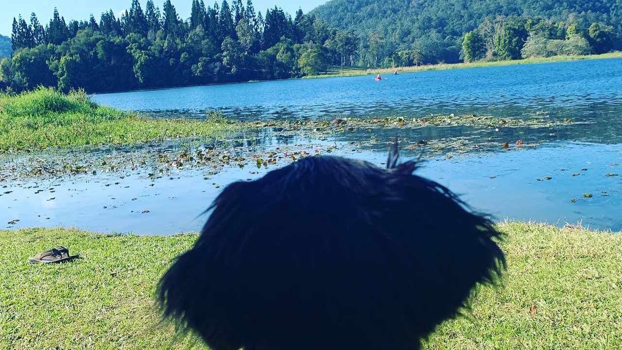 Photo of Outdoor in Byangum