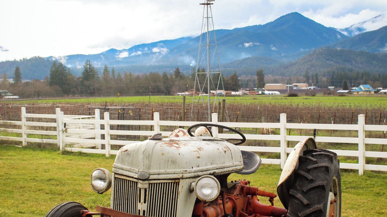 Photo of Others in Murphy