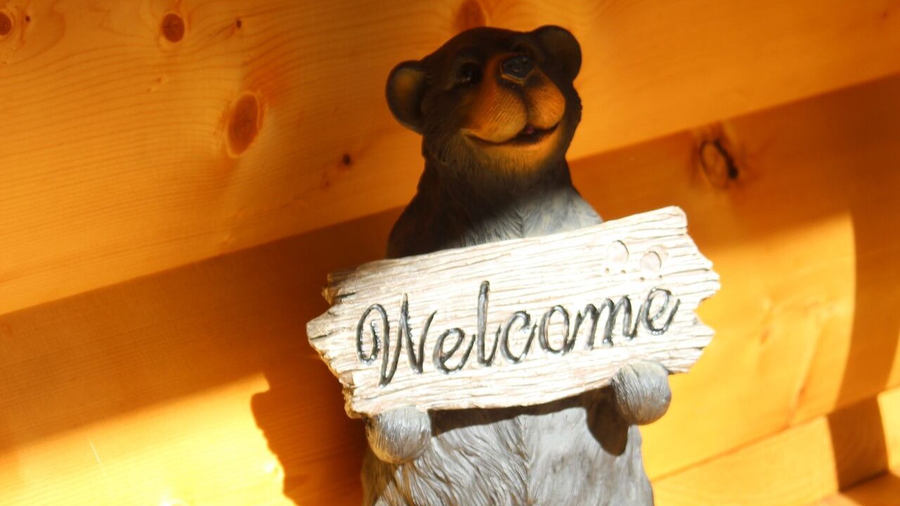 Photo of Others in Murphy