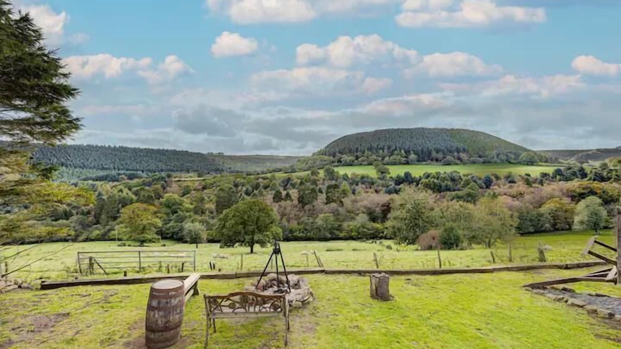 Photo of Others in Scarborough