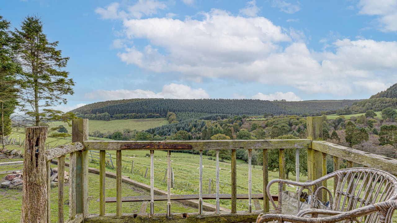 Photo of Others in Scarborough