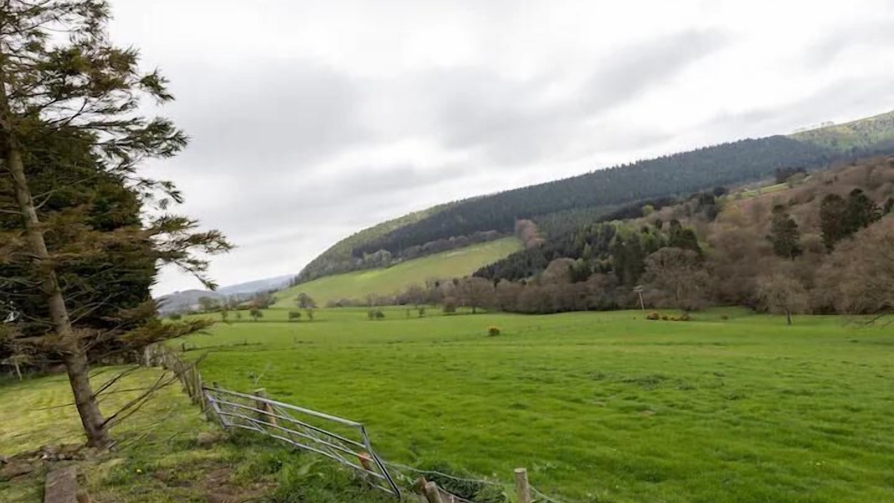 Photo of Others in Scarborough