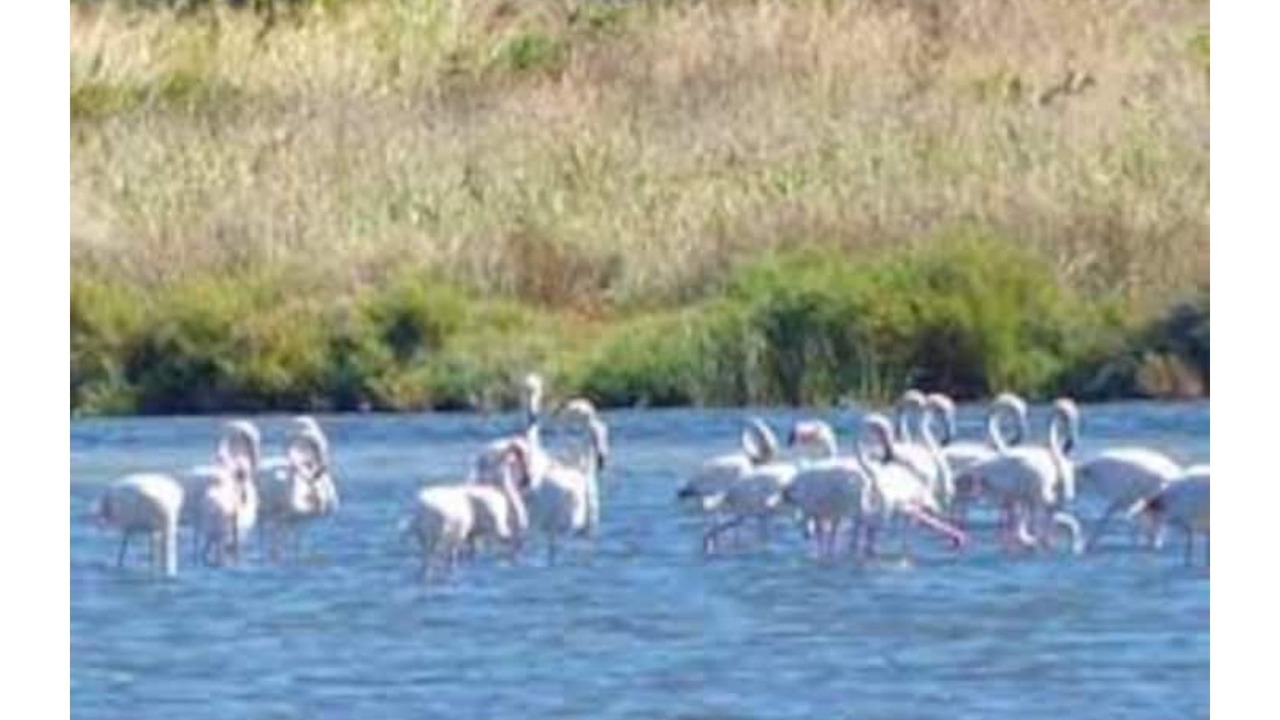 Photo of Others in Les Amarats