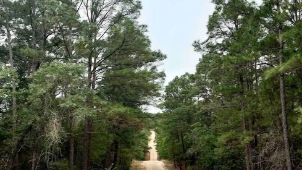 Photo of Others in Bastrop