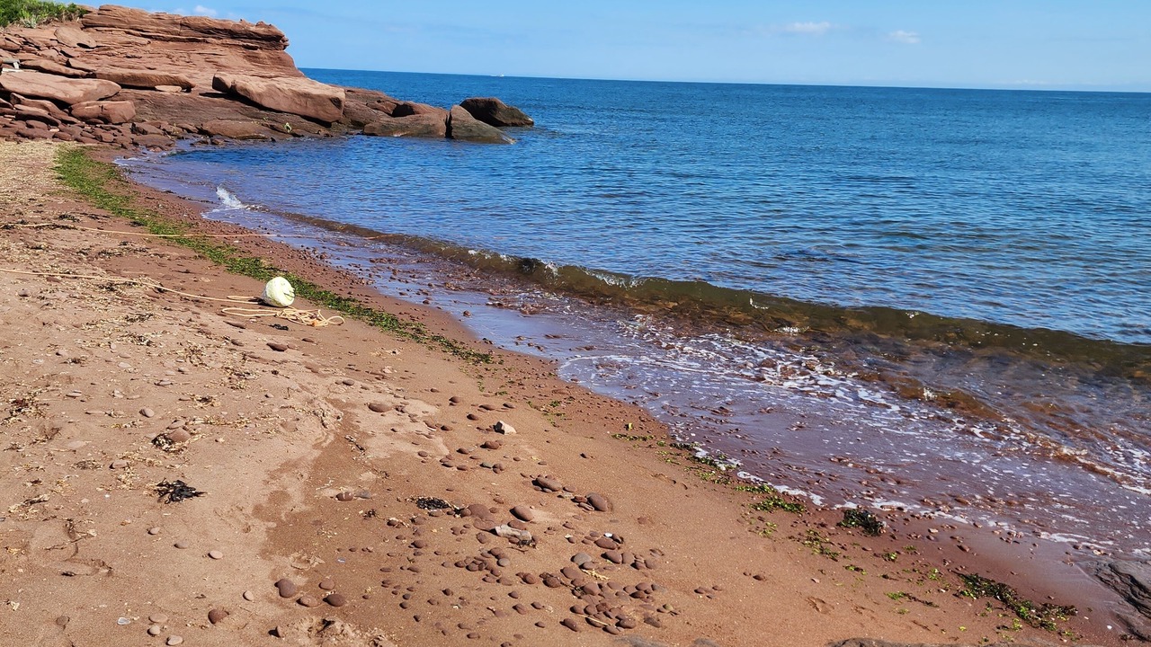 Photo of Others in Cap-Pele