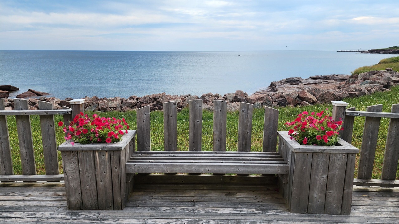 Photo of Outdoor in Cap-Pele