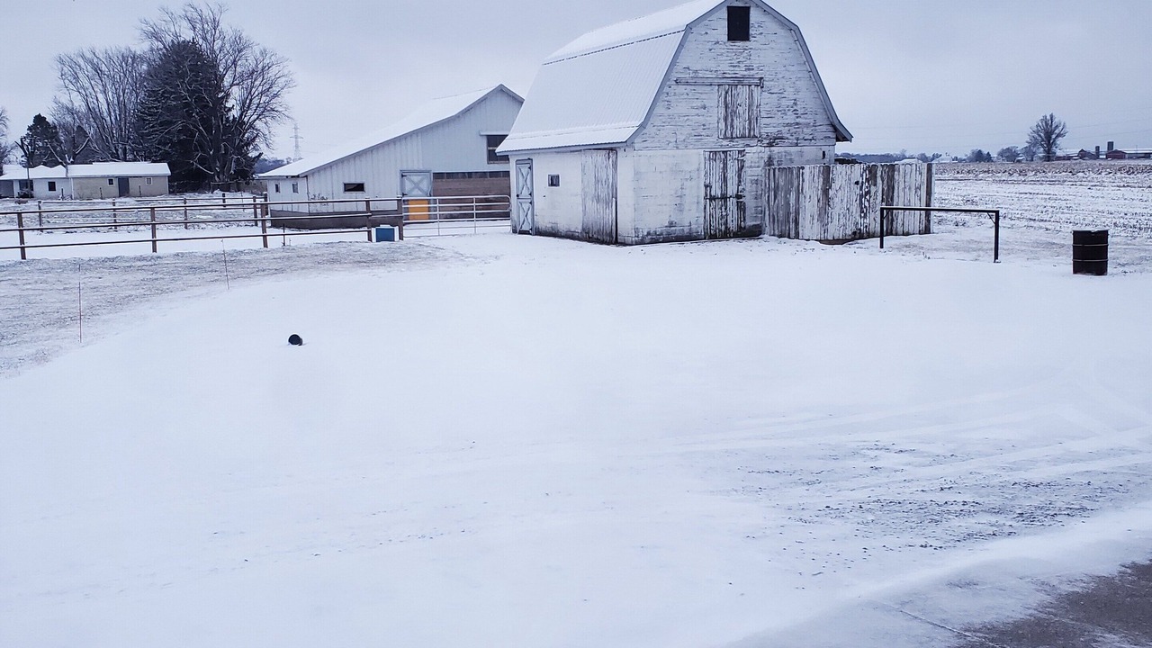 Photo of Others in Middlebury
