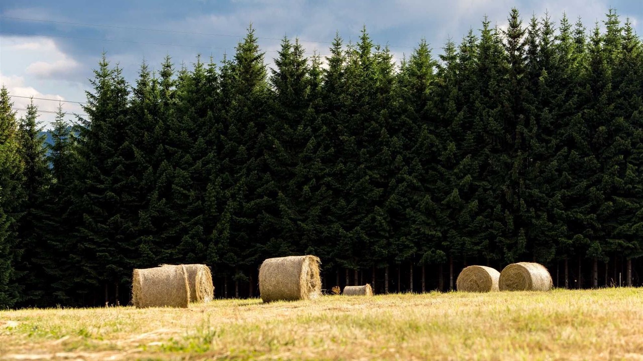 Photo of Outdoor in Hlevci