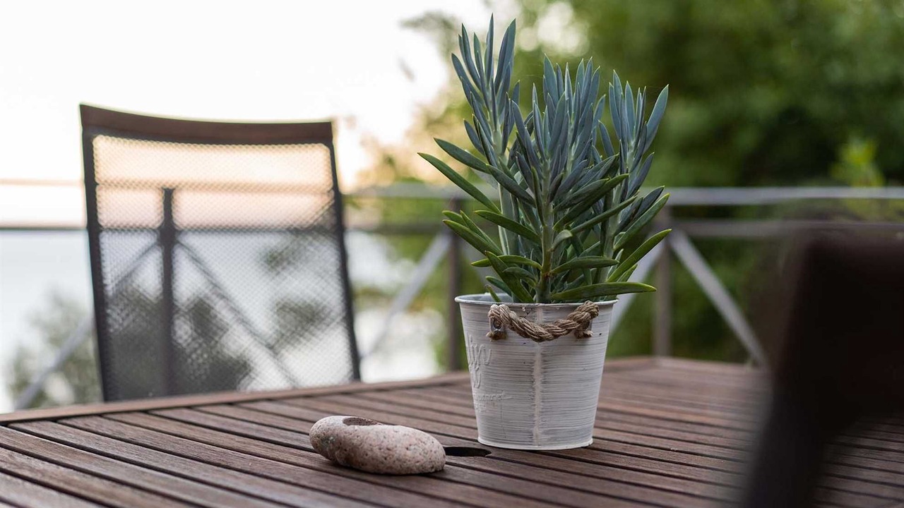 Photo of Outdoor in Obrs