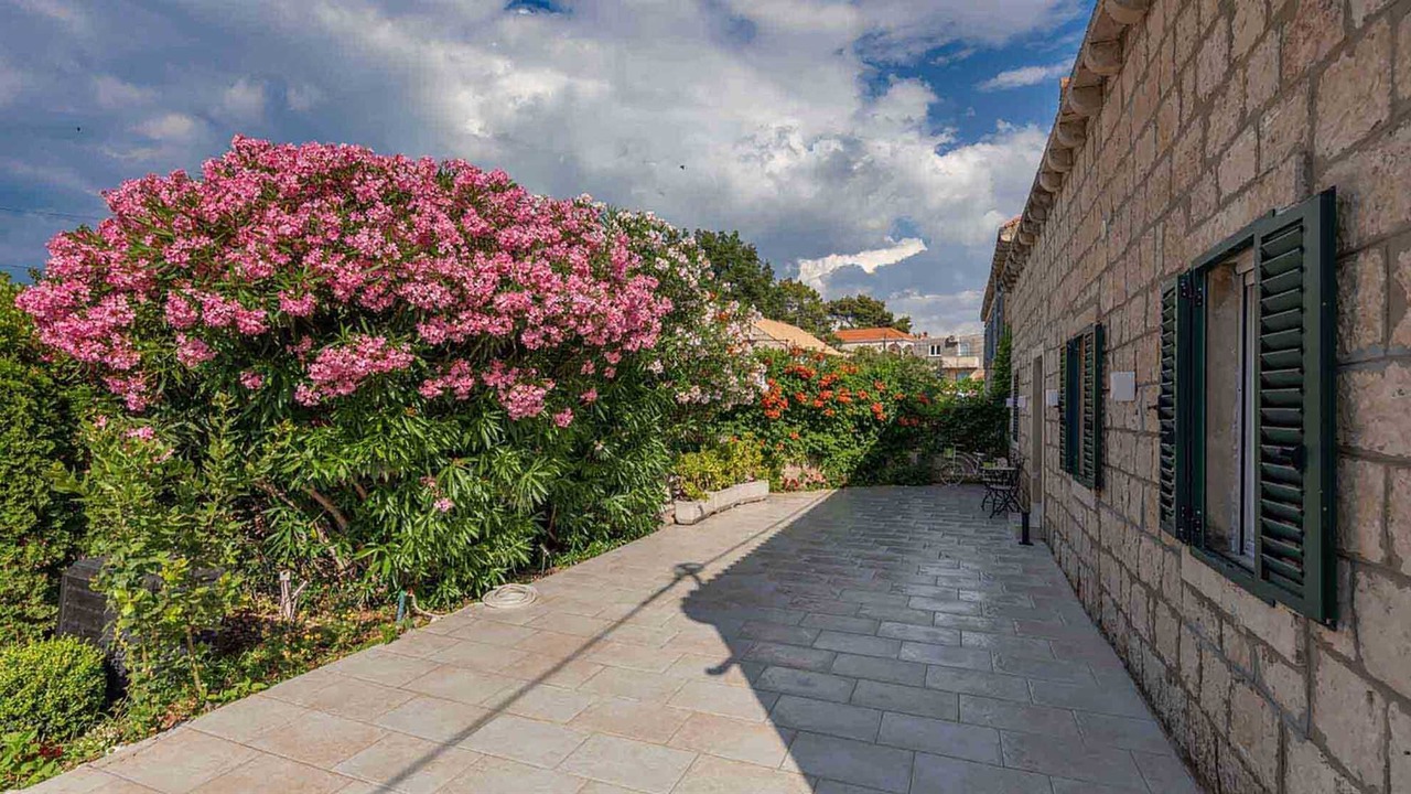 Photo of Outdoor in Cilipi