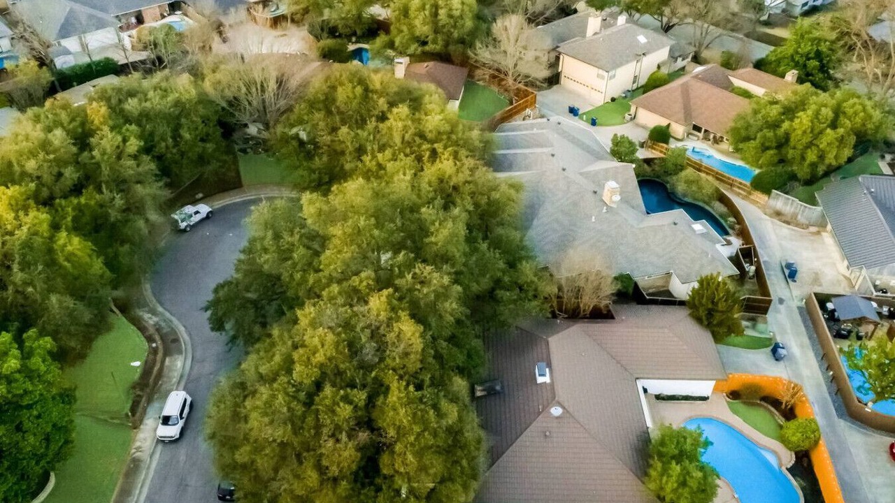 Photo of Outdoor in Lake Highlands
