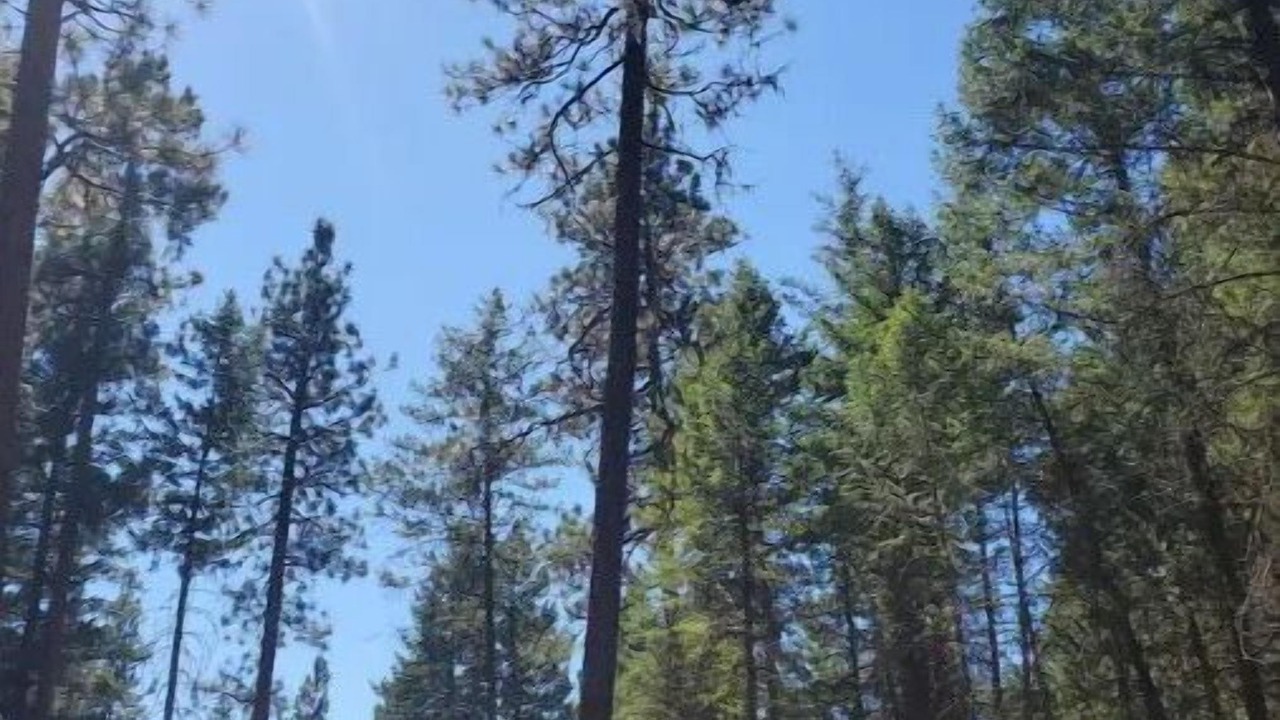 Photo of Outdoor in Rexford