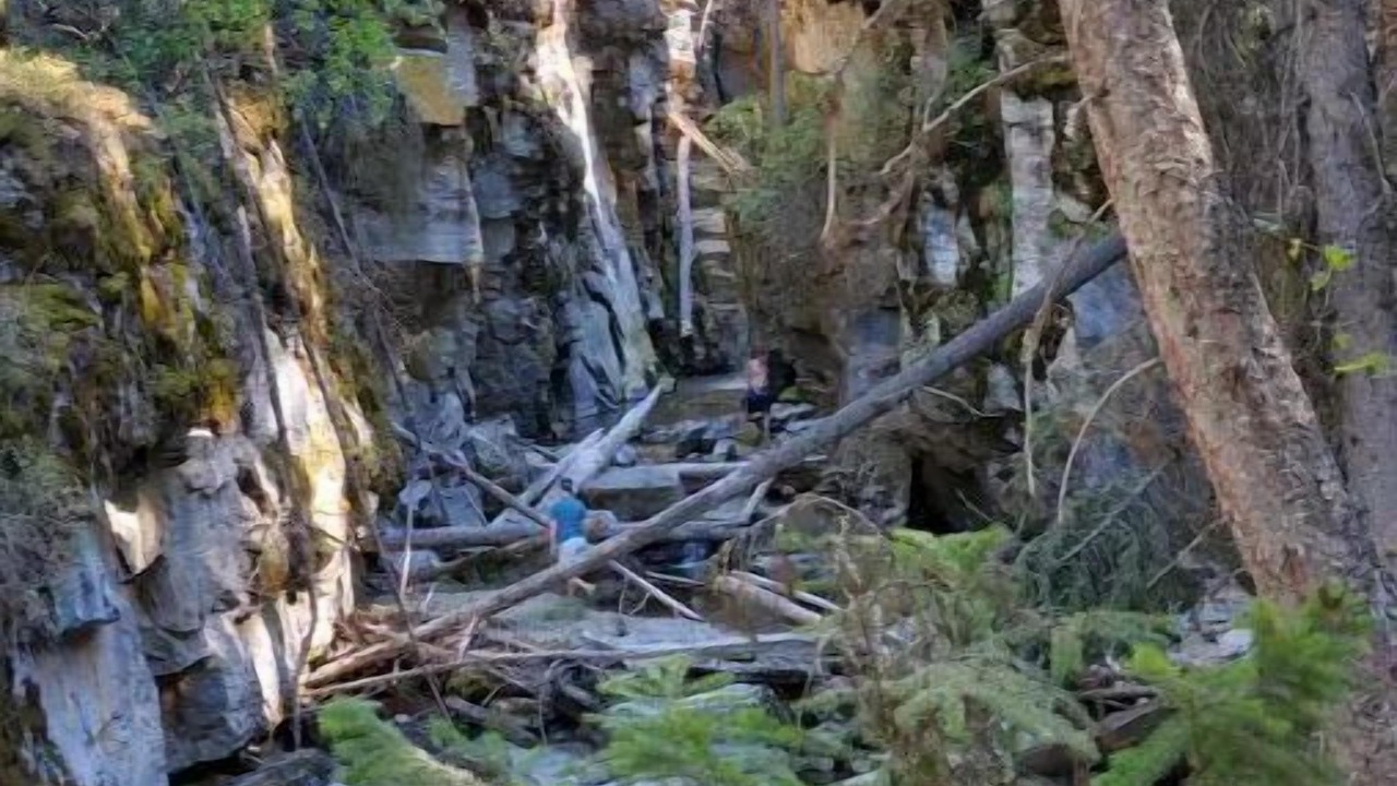 Photo of Others in Rexford