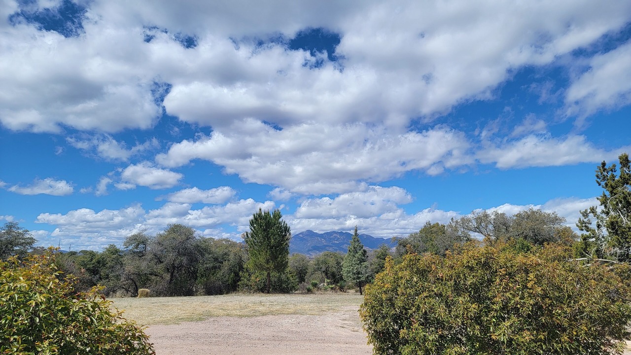 Photo of Others in Sonoita