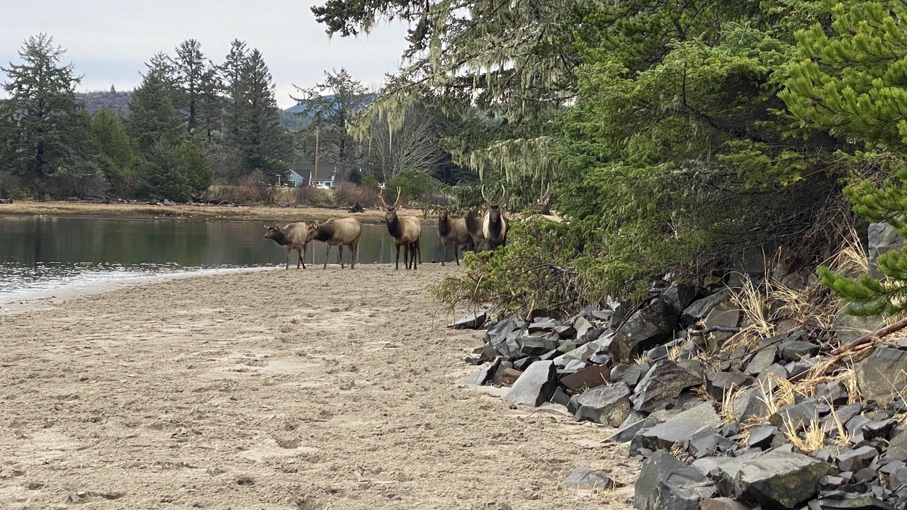 Photo of Others in Seaside