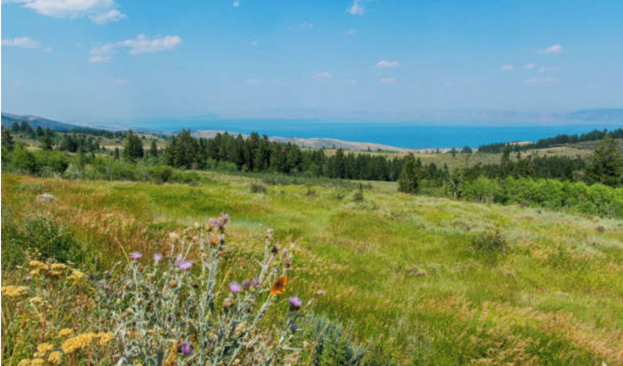 Photo of Outdoor in Paris