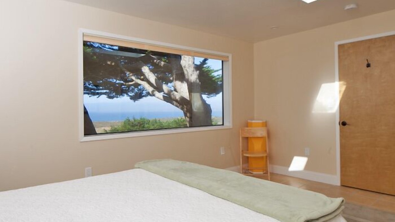 Photo of Others in Bodega Bay