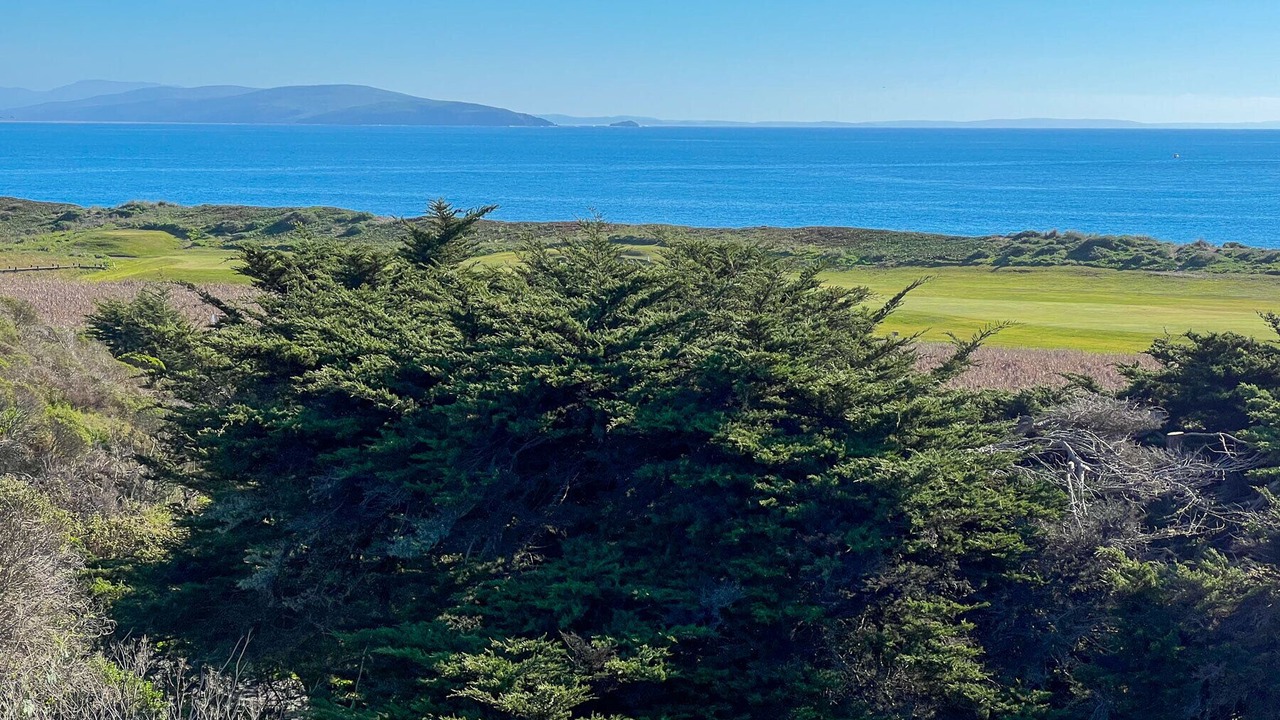 Photo of Outdoor in Bodega Bay