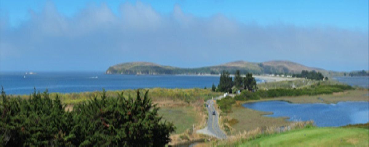 Photo of Others in Bodega Bay