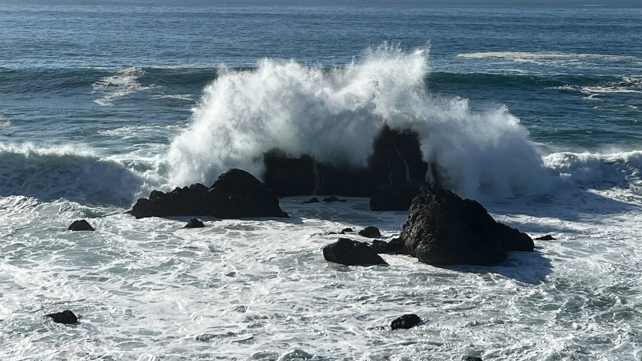 Photo of Outdoor in Bodega Bay