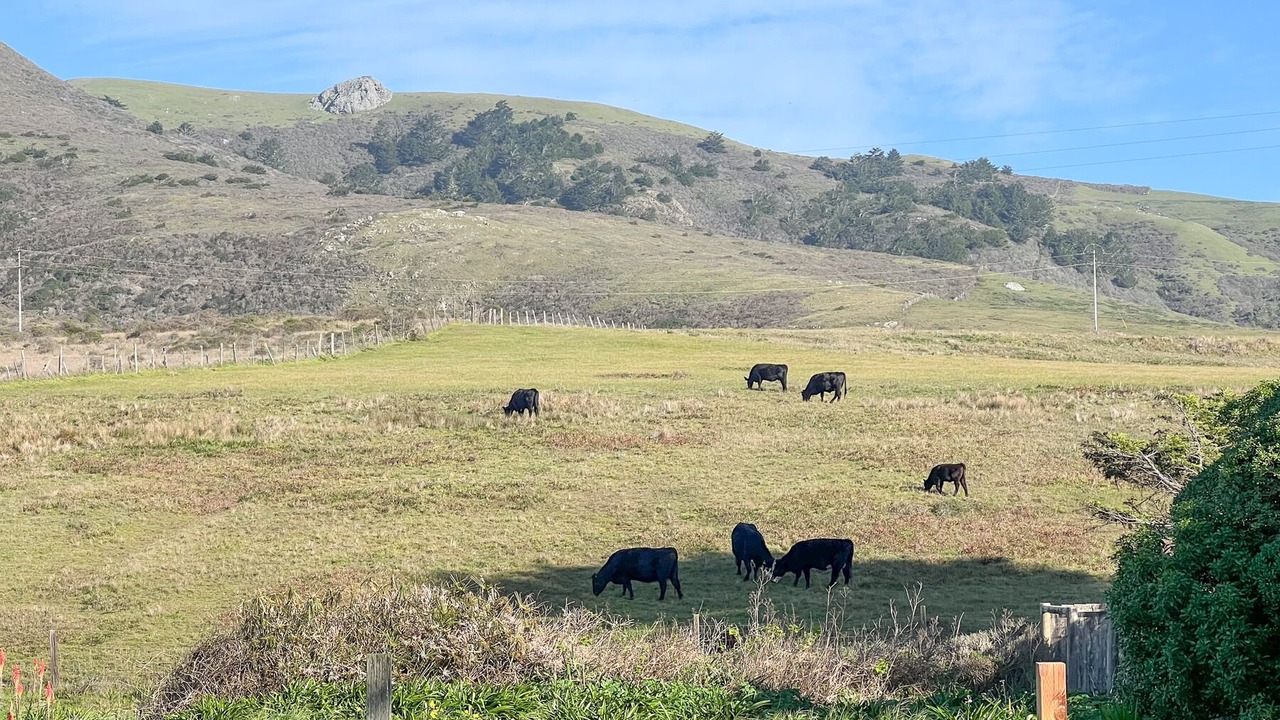 Photo of Outdoor in Bodega Bay