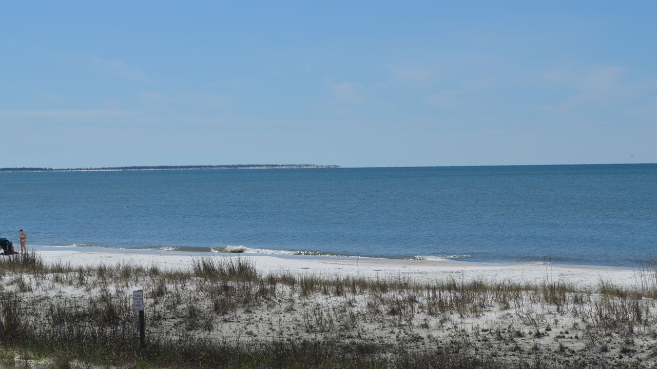 Photo of Others in Mexico Beach