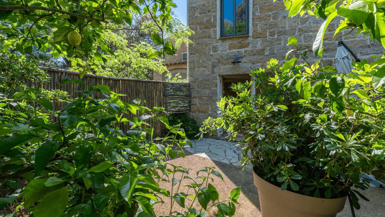Photo of Outdoor in San-Gavino-di-Carbini