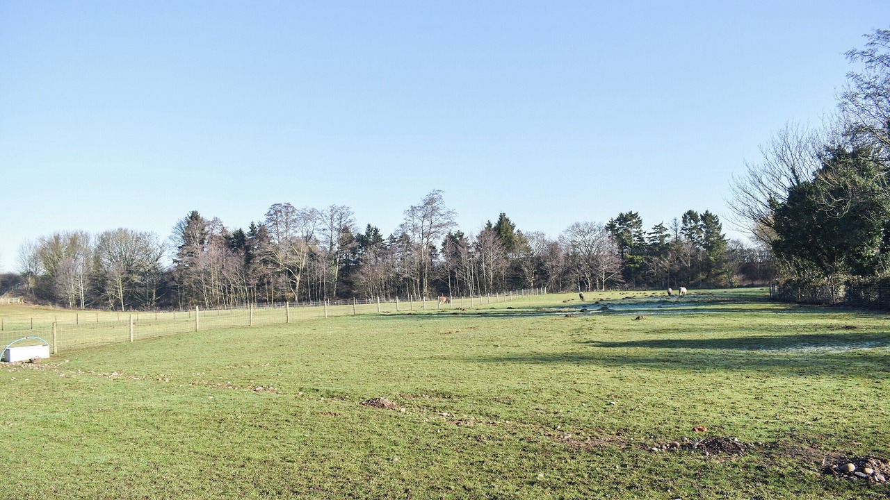 Photo of Others in Lichfield