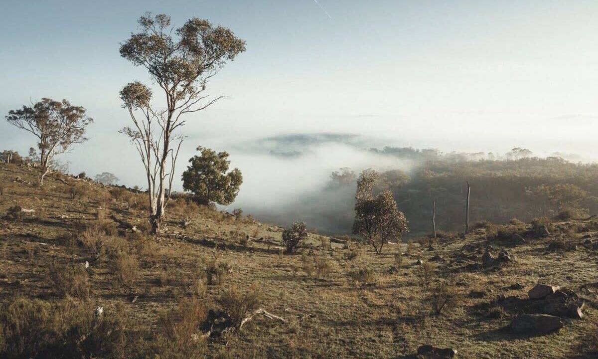 Photo of Others in Windeyer