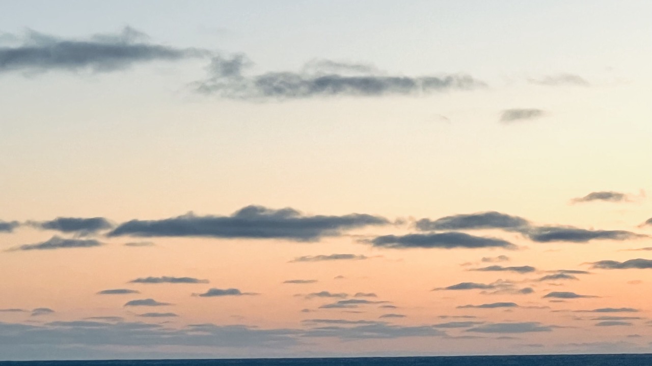 Photo of Others in Pouch Cove