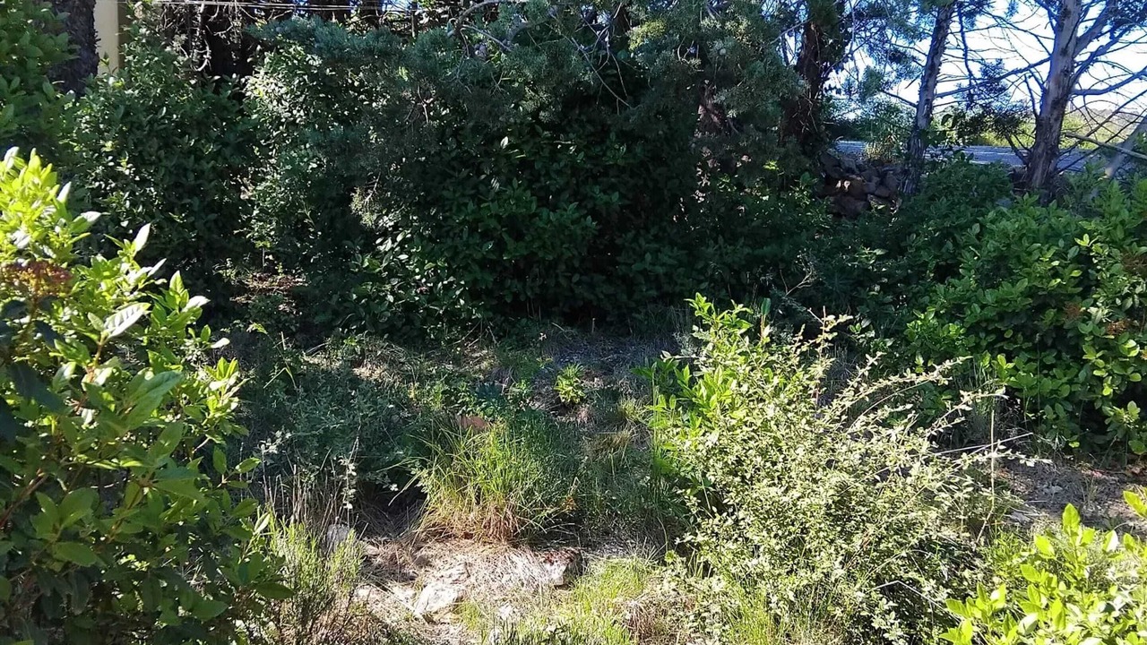 Photo of Others in Veyras