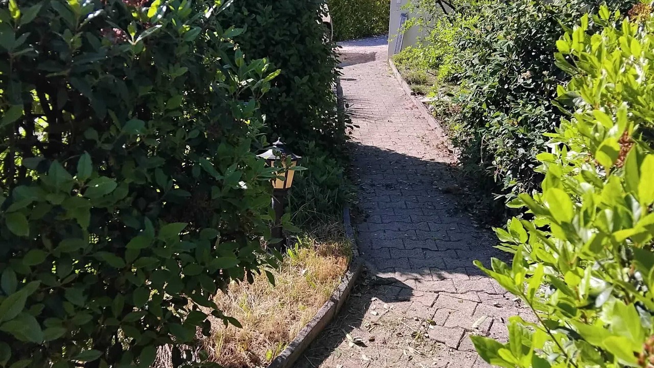 Photo of Others in Veyras