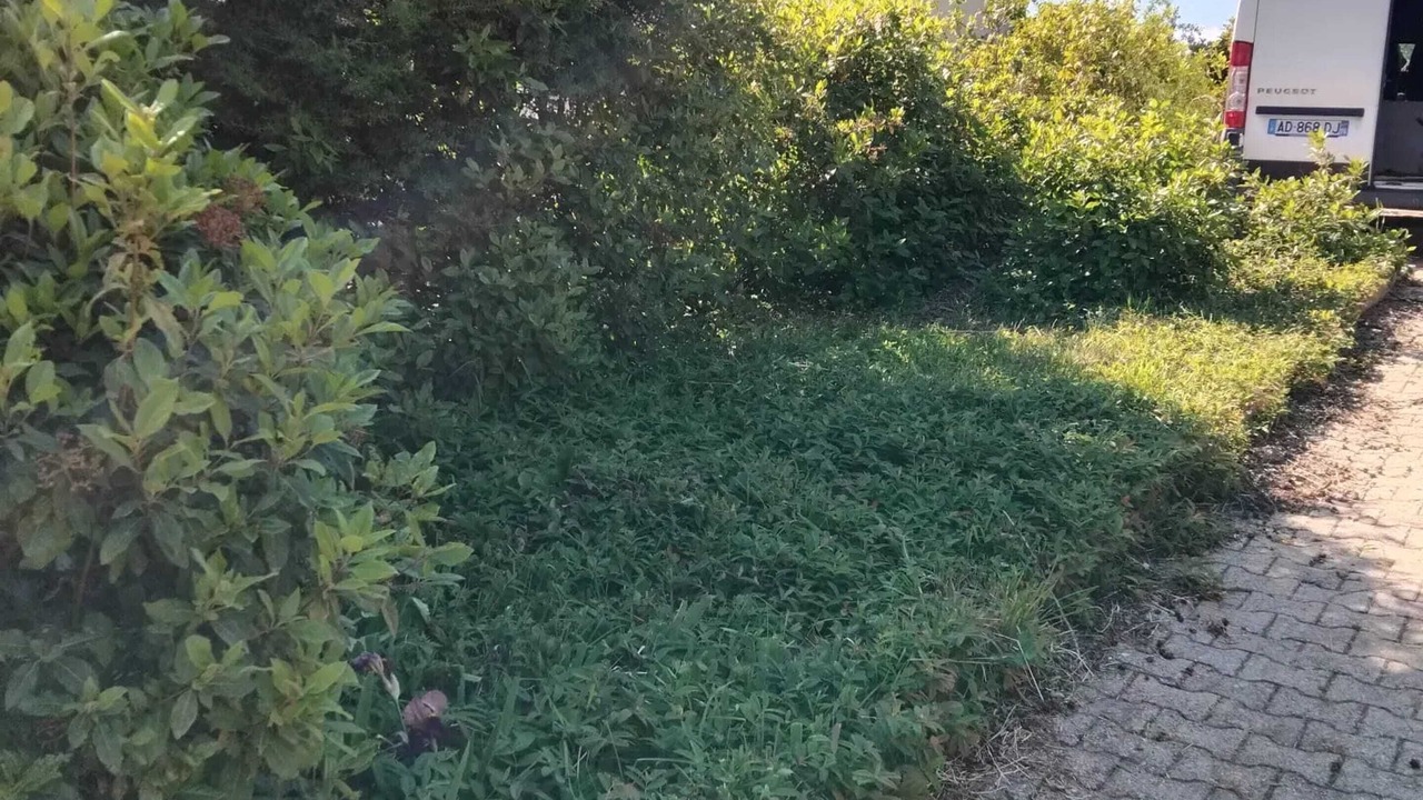 Photo of Others in Veyras