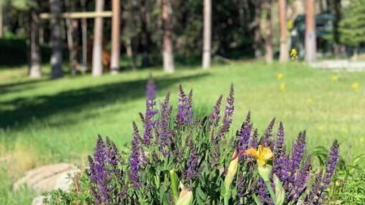 Photo of Outdoor in Tonasket