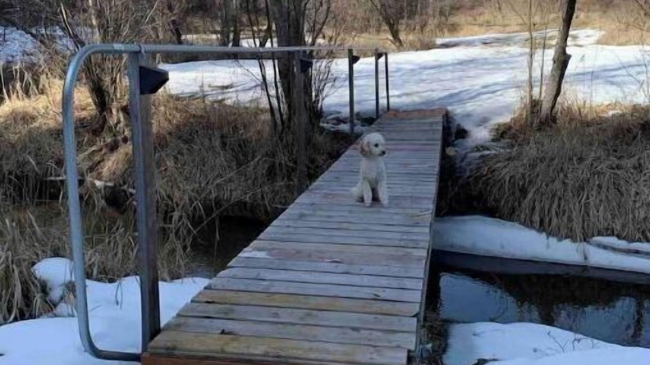 Photo of Outdoor in Tonasket