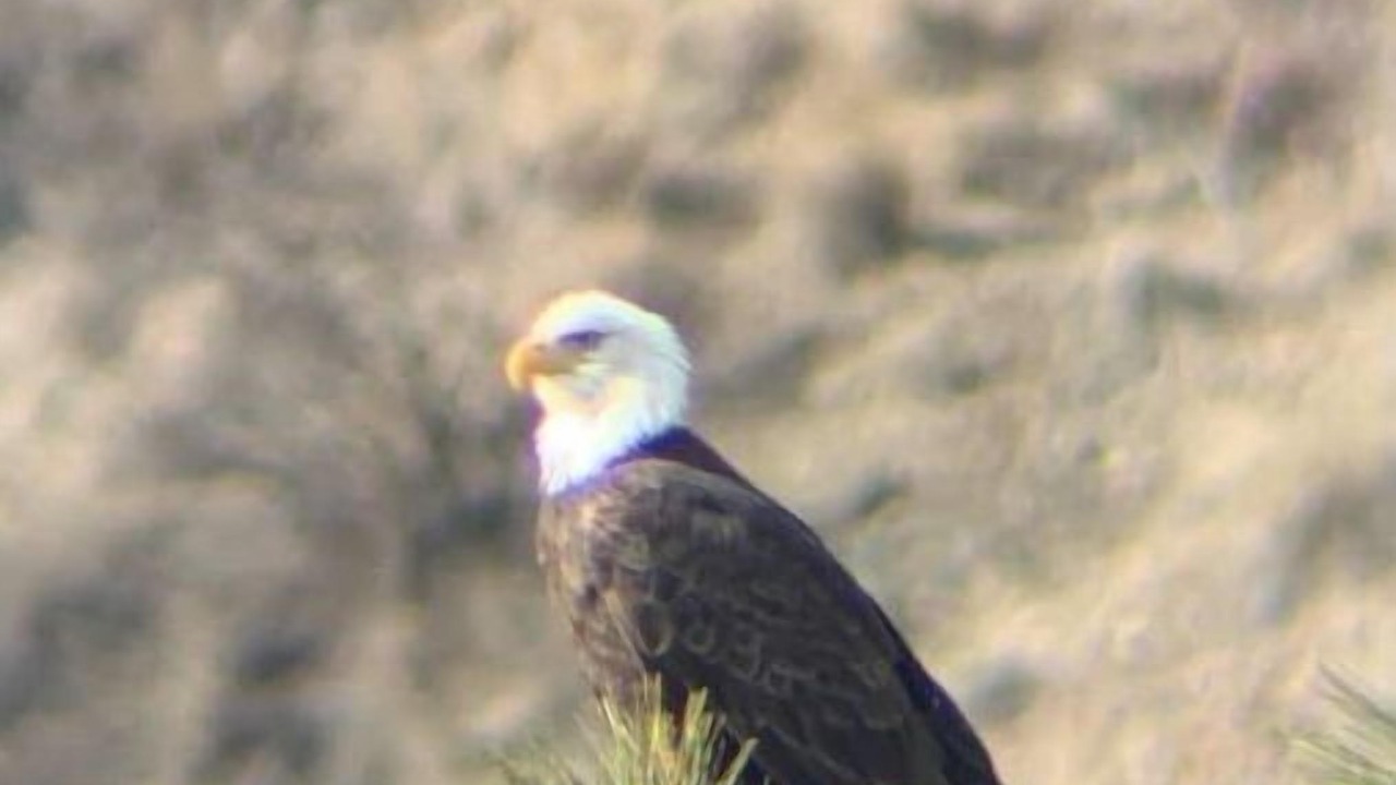 Photo of Others in Tonasket