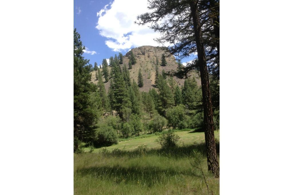 Photo of Others in Tonasket