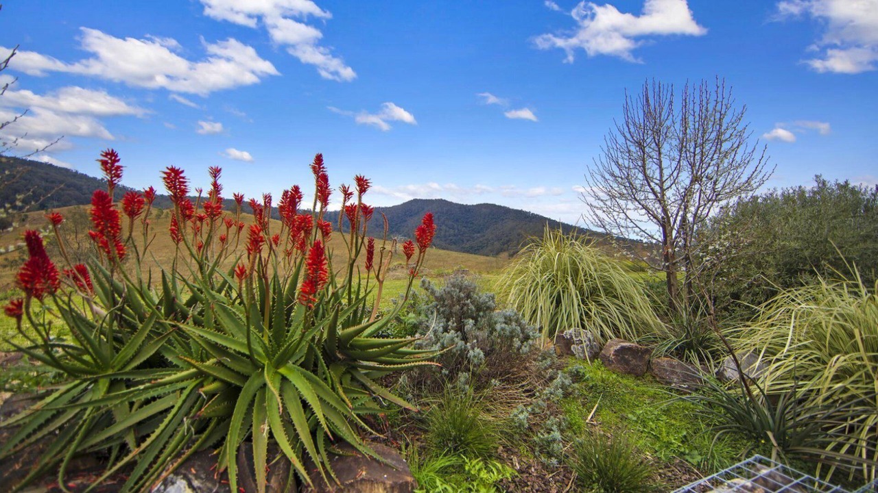 Photo of Outdoor in Bindera